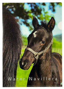 EH[^[ir NAt@CcyꂳƂBzʐ^Fq@Tubh[։EbsȌꍇ͑zւɂȂ܂