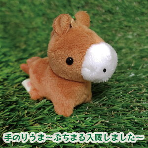 ̂肤܁@Ղ܂Aj}nE܁EE}EHORSE}ƃRbƎɎ܂銴߂JCCс@{[`F[t}XRbgL[z_[@~j