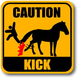 �n�̃C���X�g���[�^�[�����킶���X�e�b�J�[CAUTION KICK