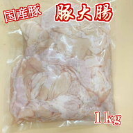 《 九州産 味に自信あり!! 》 安心の 国産 豚 大腸 ホルモン コリコリ 業務用 1kg 【豚ホルモン 豚腸 豚…