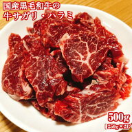 【九州産】牛サガリ・ハラミ 500g(250g×2袋)【国産牛 牛サガリ 牛ハラミ 牛 サガリ ハラミ 赤身 焼肉 焼…