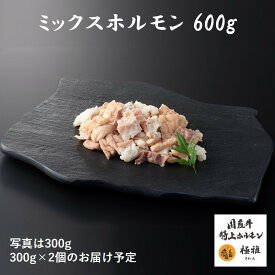 国産牛 ブランド牛 ミックスホルモン ボイル （300～1000g） 牛肉 ホルモン ミックス 小腸 ギアラ 直腸 盲腸 焼肉 家庭用 冷凍 真空パック お取り寄せ 高級 高品質 極雅 極み 極
