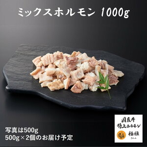 Y uh ~bNXz {C i300`1000gj  z ~bNX  MA  Ӓ ē ƒp Ⓚ ^pbN   i ɉ ɂ 