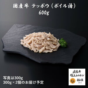 Y eb|E  {C i300`600gj  uh z ē ƒp Ⓚ ^pbN  ɉ ɂ 