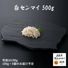 国産牛 ブランド牛 白センマイ （300g-500g） 牛肉 ホルモン センマイ 焼肉 家庭用 冷凍 真空パック お取り寄せ 極雅 極み 極