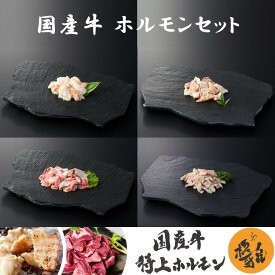 国産牛 ブランド牛 ホルモンセット（400〜800g） 生ホルモン ミックスホルモン ボイル 牛すじ ホホ肉 テッポウ 牛肉 ホルモン ミックス 小腸 ギアラ 直腸 盲腸 焼肉 家庭用 冷凍 真空パック お取り寄せ 高級 高品質 極雅 極み 極