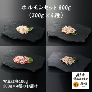 Y uh zZbgi400`800gj z ~bNXz {C  zz eb|E  z ~bNX  MA  Ӓ ē ƒp Ⓚ ^pbN 