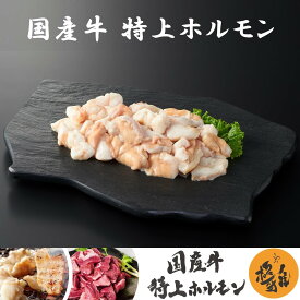 国産牛 ブランド牛 特上ホルモン （300～1000g） 牛肉 ホルモン 小腸 焼肉 家庭用 冷凍 真空パック お取り寄せ 高級 高品質 極雅 極み 極