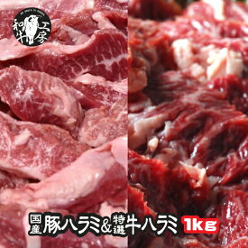 ハラミ 肉 ホルモン セット 国産 豚 ハラミ 500g と 特選 牛ハラミ 500g 計1kg たれセット付