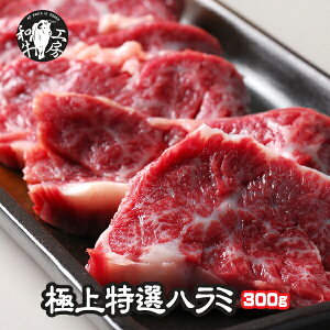 n~ z BBQ ē Y A5 ōN јa ɏI n~ 300g `傤t Mtg yn300z