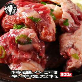 父の日 お中元 焼肉 ハラミ 肉 ホルモン 特選ハラミ・サガリ ネギ塩だれ味付き 100g×3パック 計300g 味付け 【ねぎハラミ300】