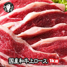 ロース 肉 ホルモン セット 九州産 黒毛和牛 上ロース 500g×2パック 計1キロ