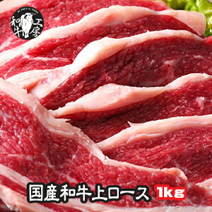 [X z BBQ ē Zbg Y јa ネ[X 500g×2pbN v1L yネ[X1kgz