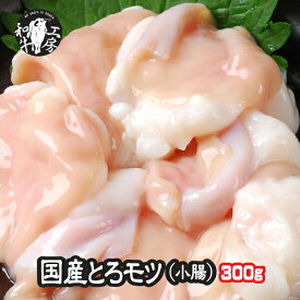 父の日 お中元 焼肉 小腸 肉 ホルモン 鍋 宮崎県産 黒毛和牛 大とろ 小腸 100g×3パック 計300g もつ煮 どて煮 【小300】