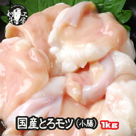 【 5と0の日 SALE 30% OFF】ホルモン もつ 宮崎県産 小腸 200g×5パック 計 1kg BBQ 焼肉 鍋 黒毛和牛 国…