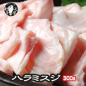 z nXW BBQ ē  {茧Y јa n~XW 100g×3pbN v300g  ynXW300z