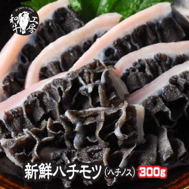 ハチノス 肉 ホルモン A5　宮崎県産 黒毛和牛 ハチモツ ハチノス 300g（ 100g× 3 ）