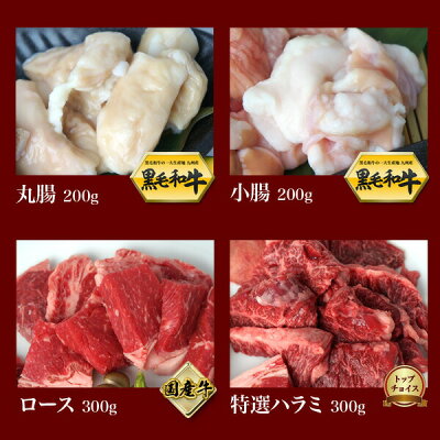 国産牛ホルモン専門卸店の特選国産牛バーベキューGセットたっぷり1kg【当店特製調味料3点セット付き】【sm15-17】【ky送料無料】【バーベキューBBQ】【smtb-k】【w1】【YDKG-k】【1101_soh_nishi1】B級グルメお花見【Fo_3/4_1】