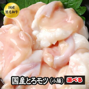 Iׂ z  BBQ ē Ă  A5 {茧Y јa Y a NV Ƃ c  z   cyz