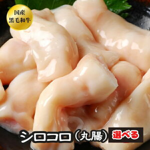 Iׂ z  BBQ ē Ă  A5 {茧Y јa Y a  ے VRz Ƃ }c e`yےz