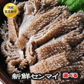 選べる センマイ ホルモン BBQ 焼肉 焼き肉 A5 宮崎県産 黒毛和牛 国産 和牛 新鮮 センマイ もつ煮 どて煮 【センマイ】