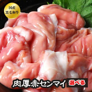 Iׂ Z}C z BBQ ē Ă  A5 {茧Y Y a јa  ԃZ}C MA  c  c  yԃZz