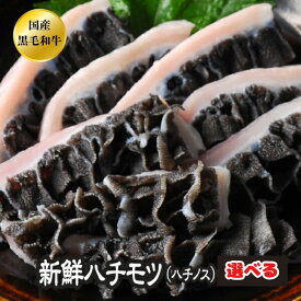 選べる ハチノス ホルモン BBQ 焼肉 焼き肉 A5 宮崎県産 黒毛和牛 国産 和牛 ハチモツ ハチノス 【ハチノス】