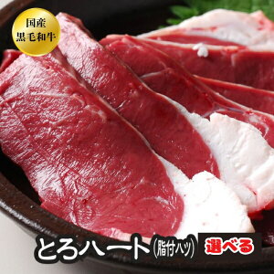 Iׂ nc z BBQ ē  A5 {茧Y јa VNƂ n[g tnc ύ yncz