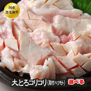 Iׂ z BBQ ē A5 {茧Y јa tRR ƂRR ncg  ǂĎ yRz