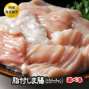 Iׂ ܒ eb` z BBQ ē Ă  A5 {茧Y Y a јa t ܒ Ƃ Ăy܁z