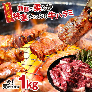 n~ z BBQ ē Ă I n~ TK 200g×5pbN v 1kg čY yn~1kgz