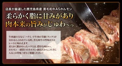 A5最高ランク鹿児島産黒毛和牛鹿児島黒牛極上特選ハラミステーキシャトーブリアン1枚150g秘伝塩こしょう付贈り物お歳暮お祝い超プレミア限定品バーベキューセットバーベキュー肉セットBBQbbq肉セットバーベキュー肉セット