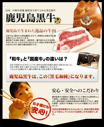A5最高ランク鹿児島産黒毛和牛鹿児島黒牛極上特選ハラミステーキシャトーブリアン1枚150g秘伝塩こしょう付贈り物お歳暮お祝い超プレミア限定品バーベキューセットバーベキュー肉セットBBQbbq肉セットバーベキュー肉セット