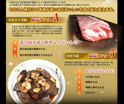 A5最高ランク鹿児島産黒毛和牛鹿児島黒牛極上ハラミステーキシャトーブリアン1枚150g秘伝塩こしょう付贈答用お歳暮限定品クリスマスバーベキュー肉ステーキBBQbbq高級肉はらみハラミギフト焼き肉焼肉出産祝い内祝い結婚祝い和牛肉牛肉