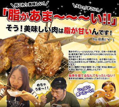 訳あり大ヒット楽天ランキング上位常連和牛リブロースのメガステーキ鹿児島県産和牛特選ロース切り落とし500gステーキカット厚切【あす楽対応】和牛ロースステーキ母の日焼き肉BBQバーベキューお歳暮お中元ギフト