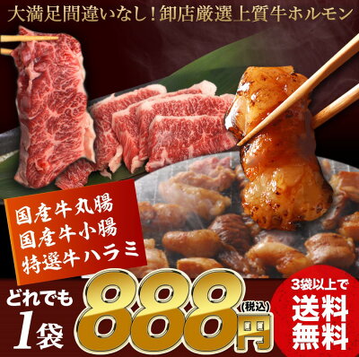 お試しポッキリ価格!マルモツ【丸腸】