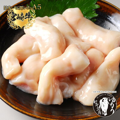 マルモツ【丸腸】300g