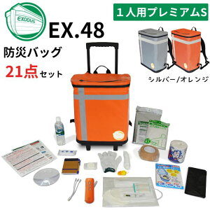 ebNX EX48CXWSP/G hЃobOTANAKA v~A STCY1lp J[2F(Vo[O[/IW) hЎmuU[Yf