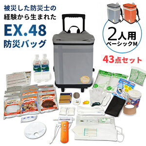 ���e�b�N�X EX48CXWM2B/G �h�Ѓo�b�OTANAKA �x�[�V�b�N M�T�C�Y2�l�p �J���[2�F(�V���o�[�O���[/�I�����W) �h�Ўm�u���U�[�Y���f��