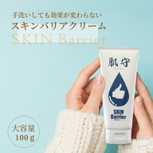 yubNtCf[ |CgUPN[|zzIzye100gnhN[zi͂j`XLoA`