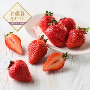 yΕz܂yzlI v[g Mtg 񂹁