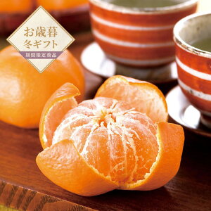 yΕzR哇݂iGjyzlI v[g Mtg  t[cMtg ~J 