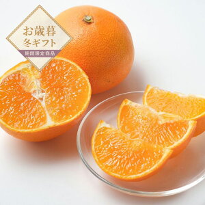 yΕzQY@g܂ǂȁyzlI v[g Mtg  t[cMtg ~J 