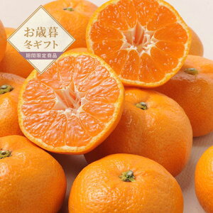 yΕzQ݂m2kgnyzlI v[g Mtg  t[cMtg ~J 