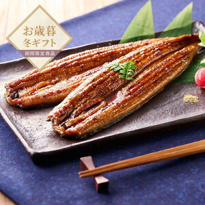 yΕzVy@BYȂ2ZbgyzlI v[g Mtg  Ȃ V