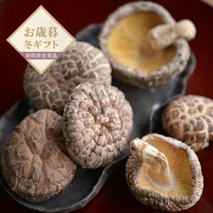 yΕz{茧Yǂ񂱒őyzlI v[g Mtg   VC^P