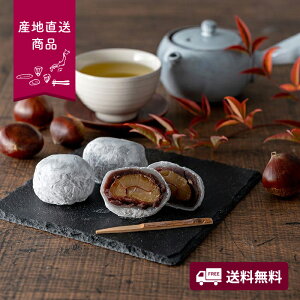 yYnzVn@܂邲ƏaI啟@6yzlI O Mtg XC[c fU[g I 啟 嗱 