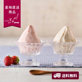 【産地直送】完熟いちごジェラート【送料無料】＜熨斗無料！ グルメ ギフト スイーツ デザート アイス ジェラート いちご ストロベリー チーズ＞