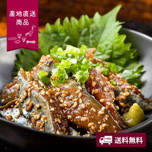 yYnz@܂΁i^΂̐ؐgj3lOyzlI v[g Mtg  O ^ ؐg ܂΁