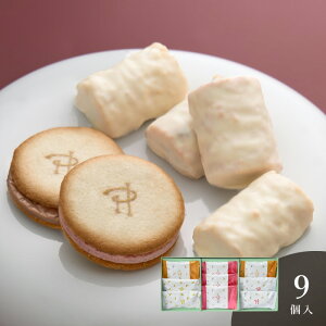 sG[EGEp@OhVNNbN@9bZ[WJ[hElEbsOE񂰎ܖI v[g Mtg  َq XC[c  fU[g v